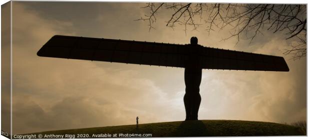 Angel Of The North  Canvas Print by Anthony Rigg