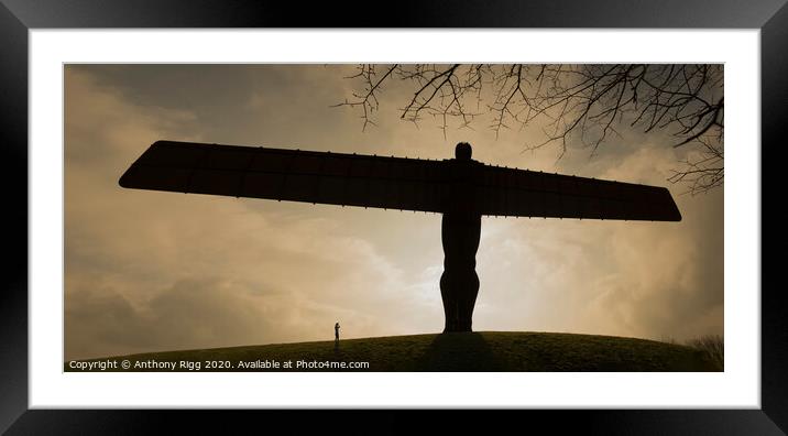 Angel Of The North  Framed Mounted Print by Anthony Rigg