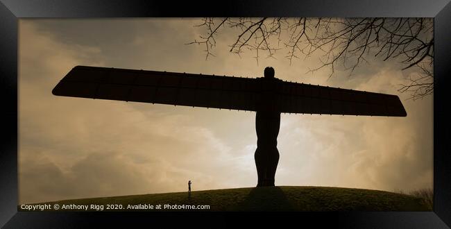 Angel Of The North  Framed Print by Anthony Rigg