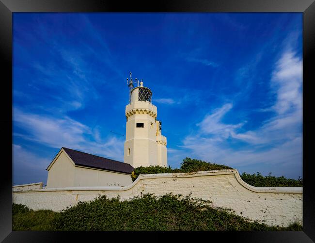 St Catherine's Lighthouse, Isle of Wight Framed Print by Andrew Sharpe