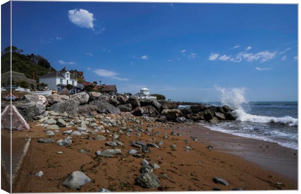 Steephill Cove, Isle of Wight Canvas Print by Andrew Sharpe