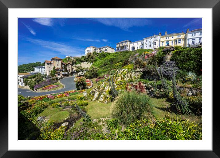 Ventnor Cascade Gardens, Isle of Wight Framed Mounted Print by Andrew Sharpe