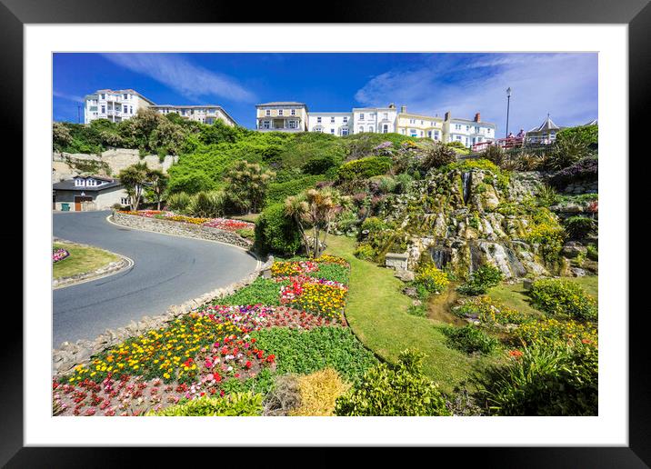 Ventnor Cascade Gardens, Isle of Wight Framed Mounted Print by Andrew Sharpe