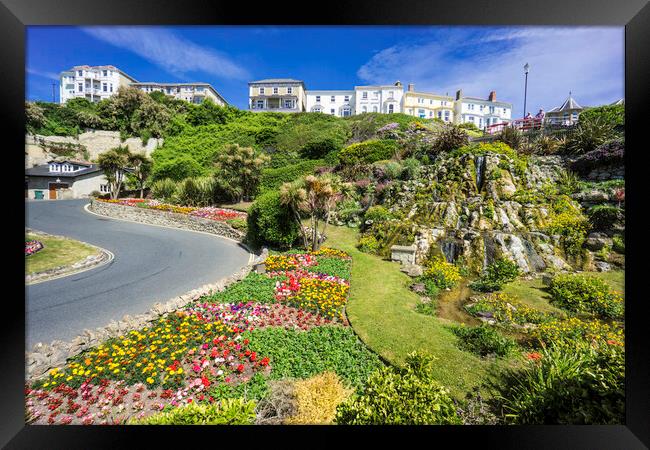 Ventnor Cascade Gardens, Isle of Wight Framed Print by Andrew Sharpe