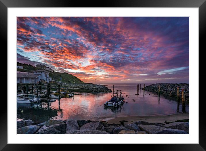 Ventnor Haven, Isle of Wight Framed Mounted Print by Andrew Sharpe