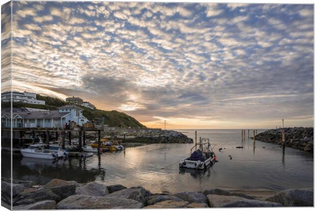 Ventnor Haven, Isle of Wight Canvas Print by Andrew Sharpe