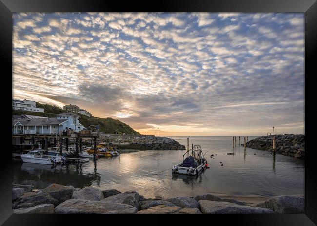 Ventnor Haven, Isle of Wight Framed Print by Andrew Sharpe