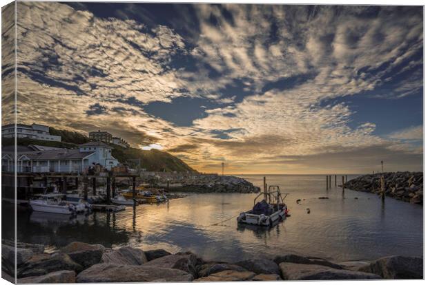 Ventnor Haven, Isle of Wight Canvas Print by Andrew Sharpe