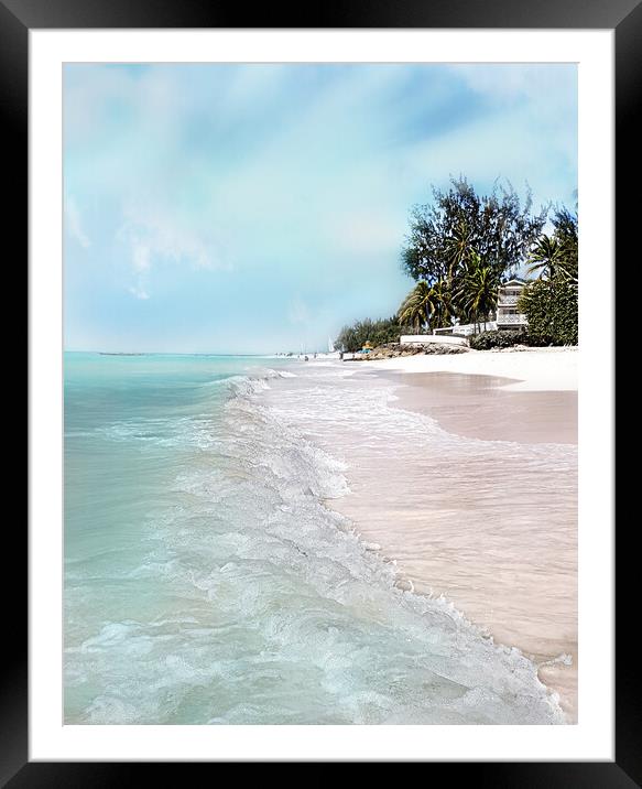 Barbados Beauty Framed Mounted Print by Louise Godwin