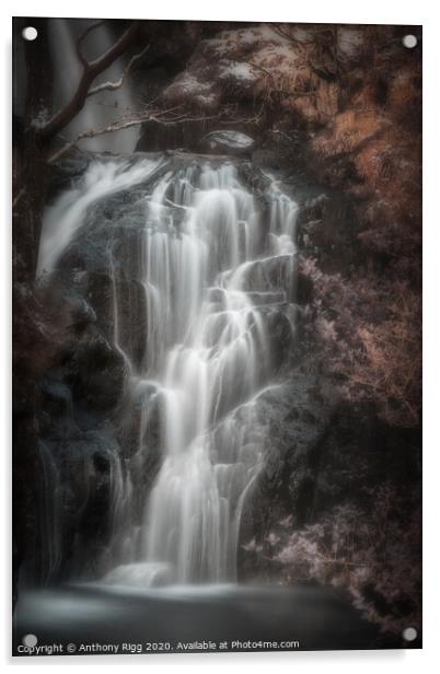 Buchan Burn Waterfall Acrylic by Anthony Rigg