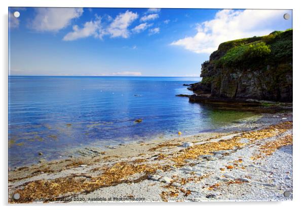 Port Soderick Acrylic by Steven Watson