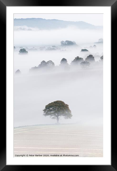 South Downs Mist Framed Mounted Print by Peter Barber