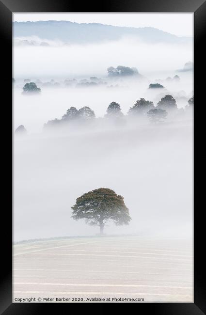 South Downs Mist Framed Print by Peter Barber