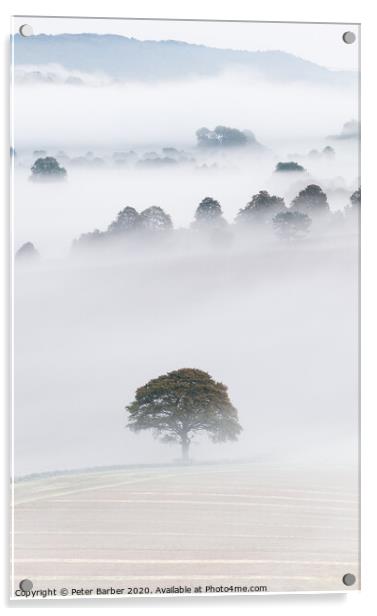 South Downs Mist Acrylic by Peter Barber