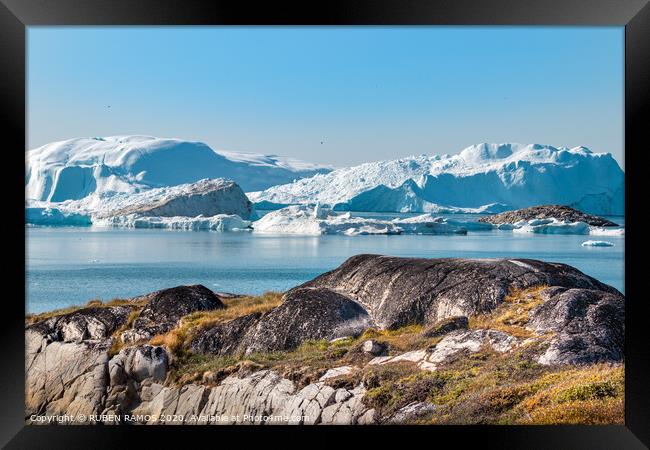 The Jakobshavn Glacier in Greenland. Framed Print by RUBEN RAMOS