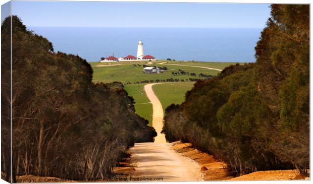 Cape Willoughby Lighthouse  Canvas Print by Carole-Anne Fooks