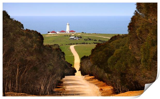 Cape Willoughby Lighthouse  Print by Carole-Anne Fooks