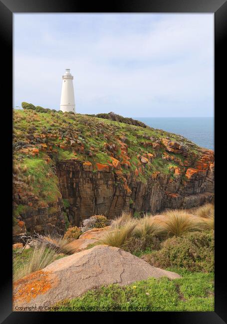 Cape Willoughby Lighthouse Framed Print by Carole-Anne Fooks