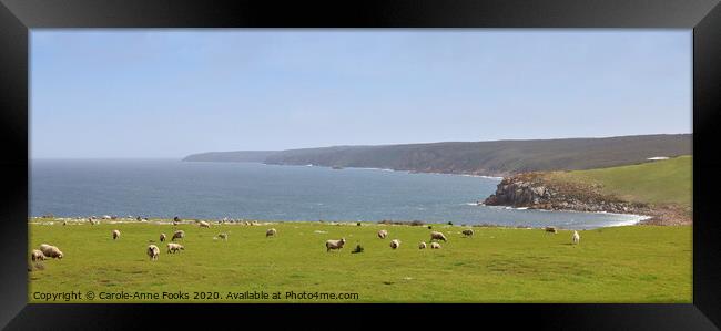 Cape Willoughby Framed Print by Carole-Anne Fooks