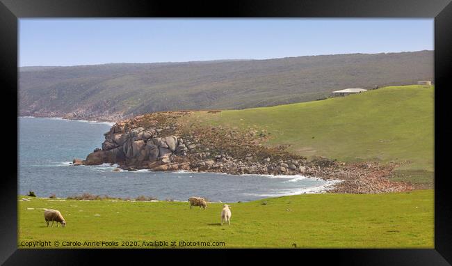 Cape Willoughby Framed Print by Carole-Anne Fooks