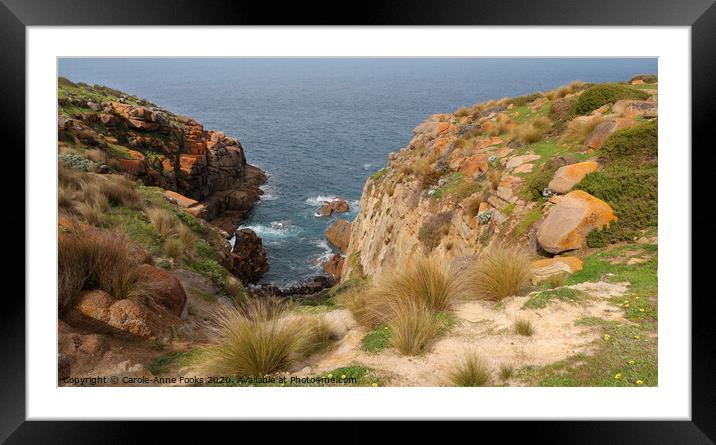 Cape Willoughby Framed Mounted Print by Carole-Anne Fooks