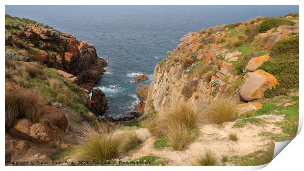 Cape Willoughby Print by Carole-Anne Fooks