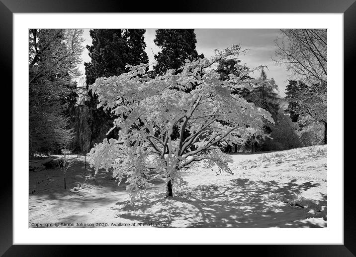 Fresh Snow Framed Mounted Print by Simon Johnson