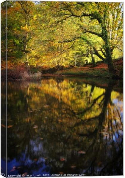 Autumn Reflection Canvas Print by Peter Lovatt  LRPS