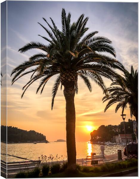 Summer nights in Cavtat Canvas Print by Naylor's Photography