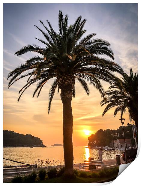 Summer nights in Cavtat Print by Naylor's Photography