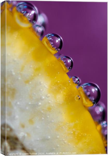 Bubbles on Lemon #1 Canvas Print by Claire Turner