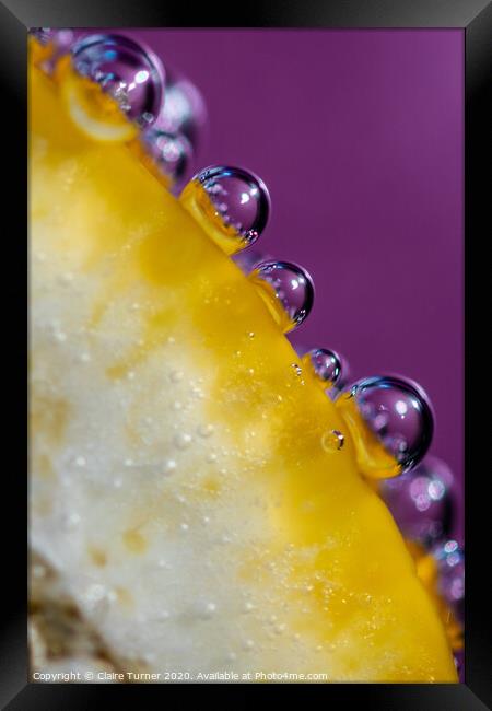 Bubbles on Lemon #1 Framed Print by Claire Turner