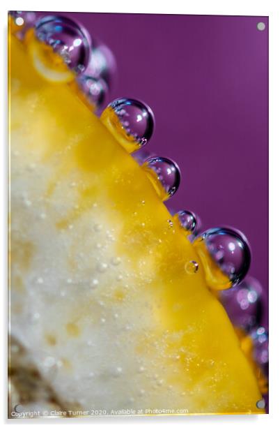 Bubbles on Lemon #1 Acrylic by Claire Turner