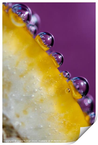 Bubbles on Lemon #1 Print by Claire Turner