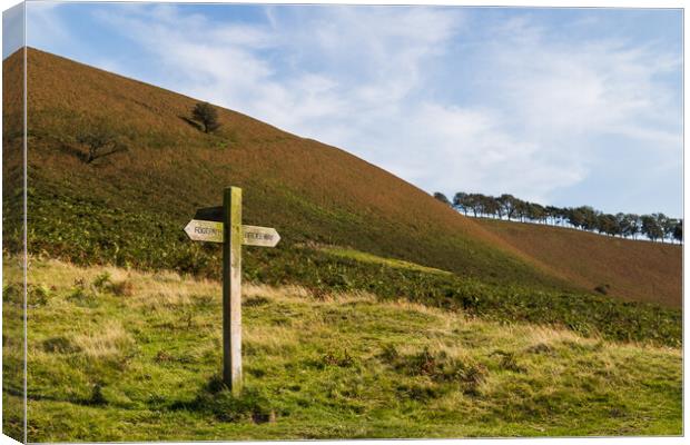 Traidtional sign post on the North Yorkshire Moors Canvas Print by Jason Wells