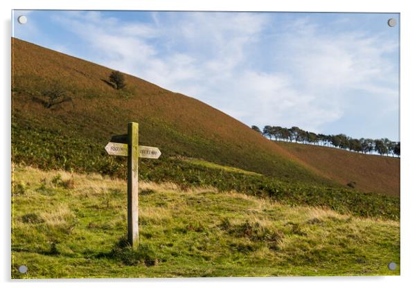 Traidtional sign post on the North Yorkshire Moors Acrylic by Jason Wells