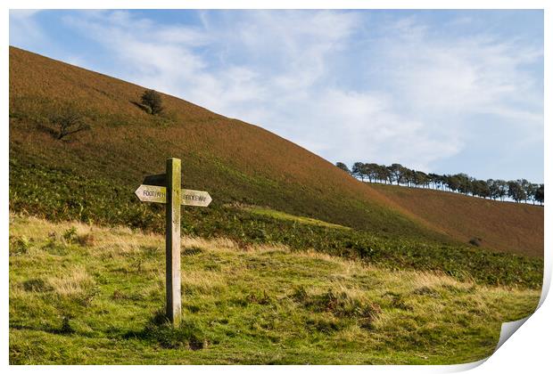 Traidtional sign post on the North Yorkshire Moors Print by Jason Wells