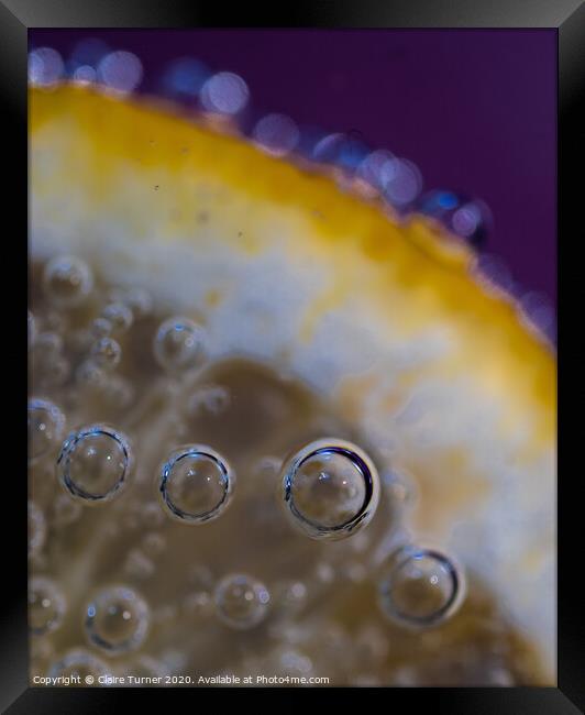 Bubbles on lemon #3 Framed Print by Claire Turner