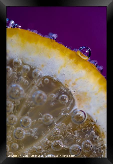 Bubbles on lemon #4 Framed Print by Claire Turner