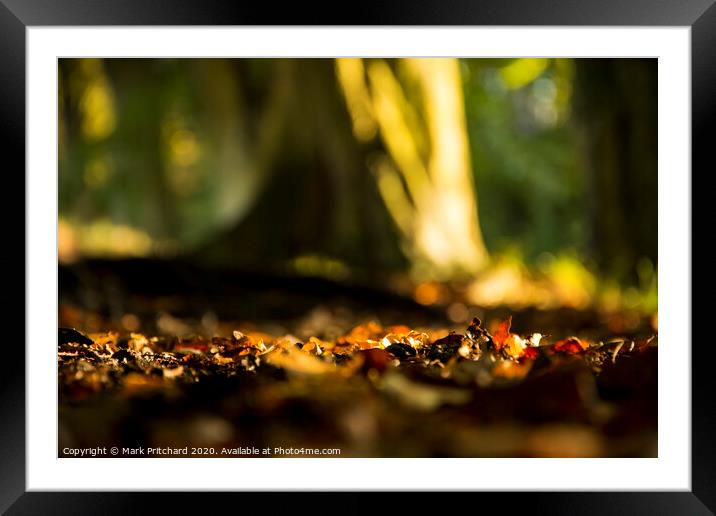 Fallen Leaves Framed Mounted Print by Mark Pritchard