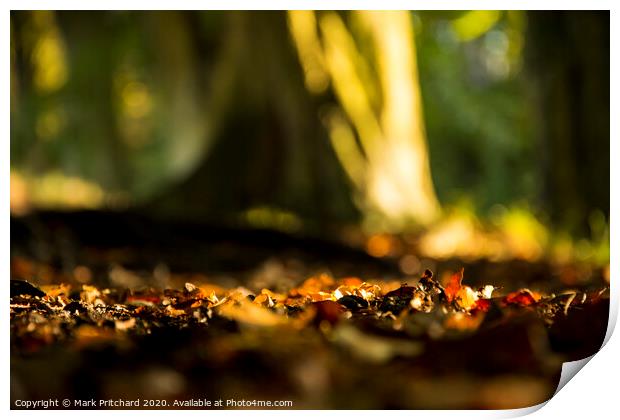 Fallen Leaves Print by Mark Pritchard