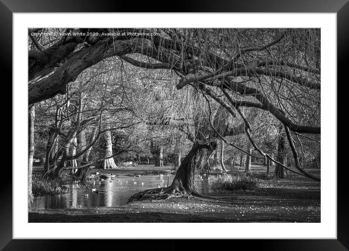 canopy of trees Framed Mounted Print by Kevin White