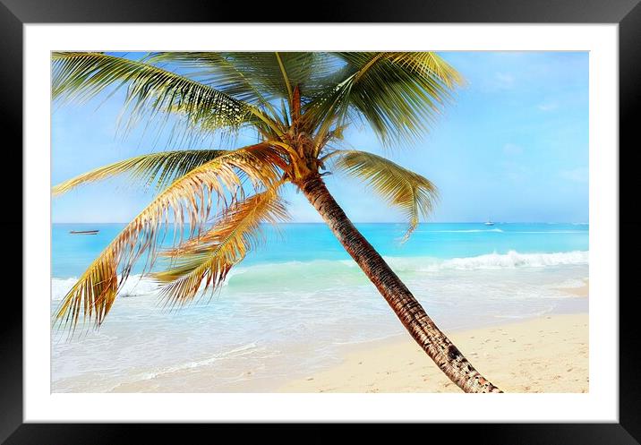 Relax Palm Tree Time Framed Mounted Print by Louise Godwin