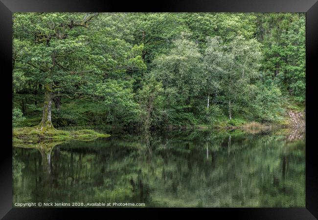 Yew Tree Tarn Reflections Lake District Framed Print by Nick Jenkins