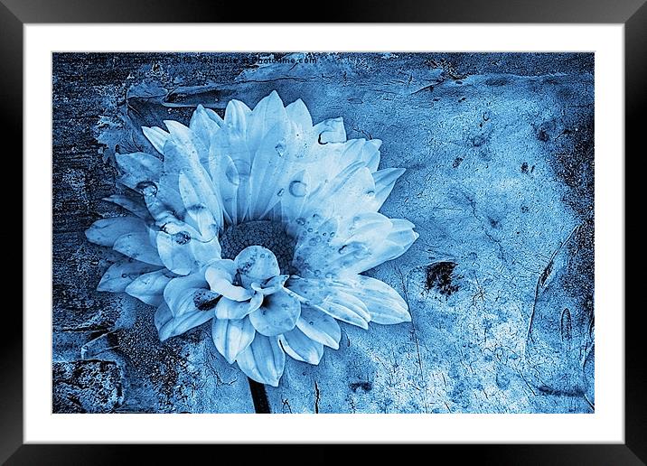 Iced Blue Framed Mounted Print by John Edwards