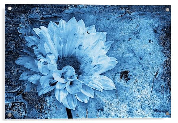 Iced Blue Acrylic by John Edwards