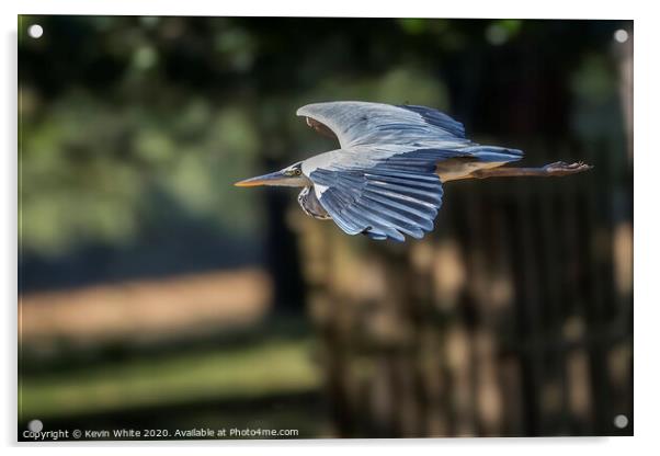streamline flight by Heron Acrylic by Kevin White