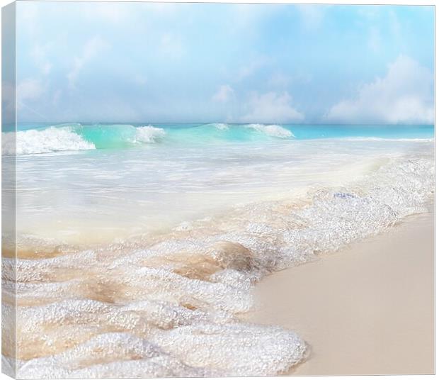 Barbados Waters Canvas Print by Louise Godwin