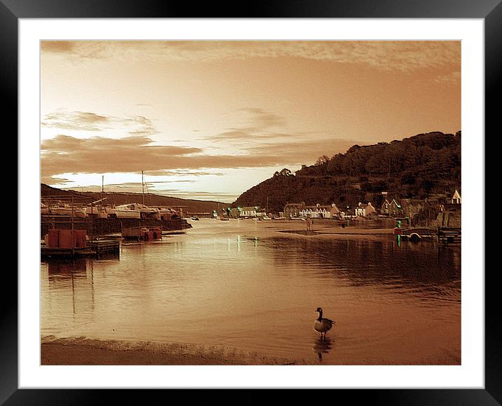 Lower Town Fishguard. Framed Mounted Print by paulette hurley