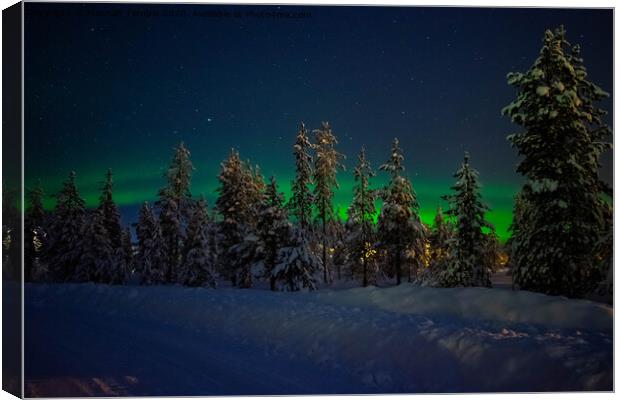 Northern Lights Canvas Print by Hannah Temple